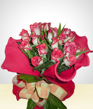 Presentes de Luxo - Buqu com 24 Rosas
