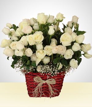 Flores - Impacto Champanhe - 100 Rosas Brancas
