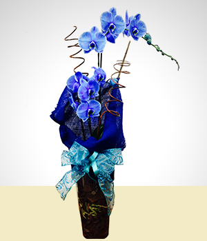 Flores - Carinho em Azul