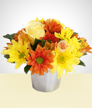 Presentes para Homens - Florista: Flores do Campo em Vaso de Alumnio