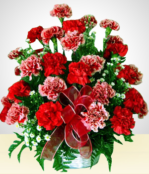 Arranjos de Flores - Vermelho Iluso: Cravos Vermelhos e Cor de rosa