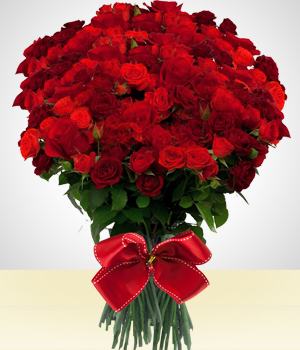 Rosas - Buqu de Luxo: 200 Rosas