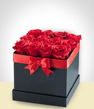 Rosas - Caixa de veludo 12 rosas