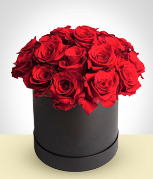 Rosas - Caixa de veludo 24 rosas