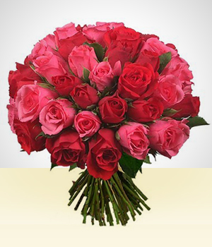 Flores - Par Perfeito: Buqu de 36 rosas Vermelhas e Cor-de-rosa