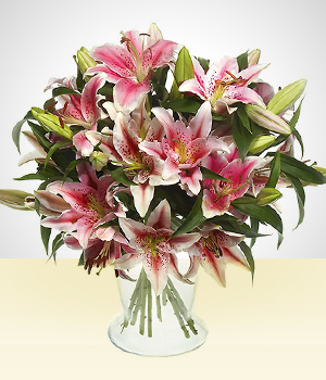 Arranjos de Flores - Plante Amor: Lrios rosados em vaso