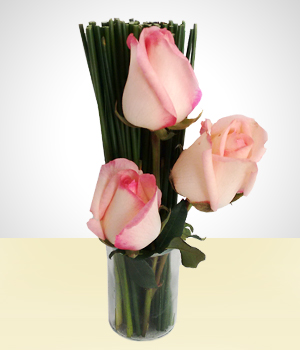 Amor e Romance - Valentines: 3 Rosas em vaso de vidro